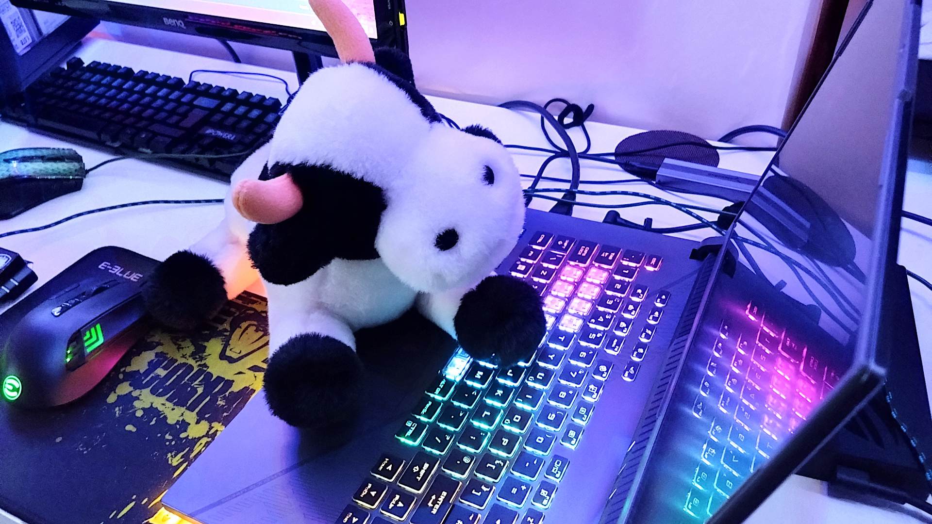 Asus G16 2024